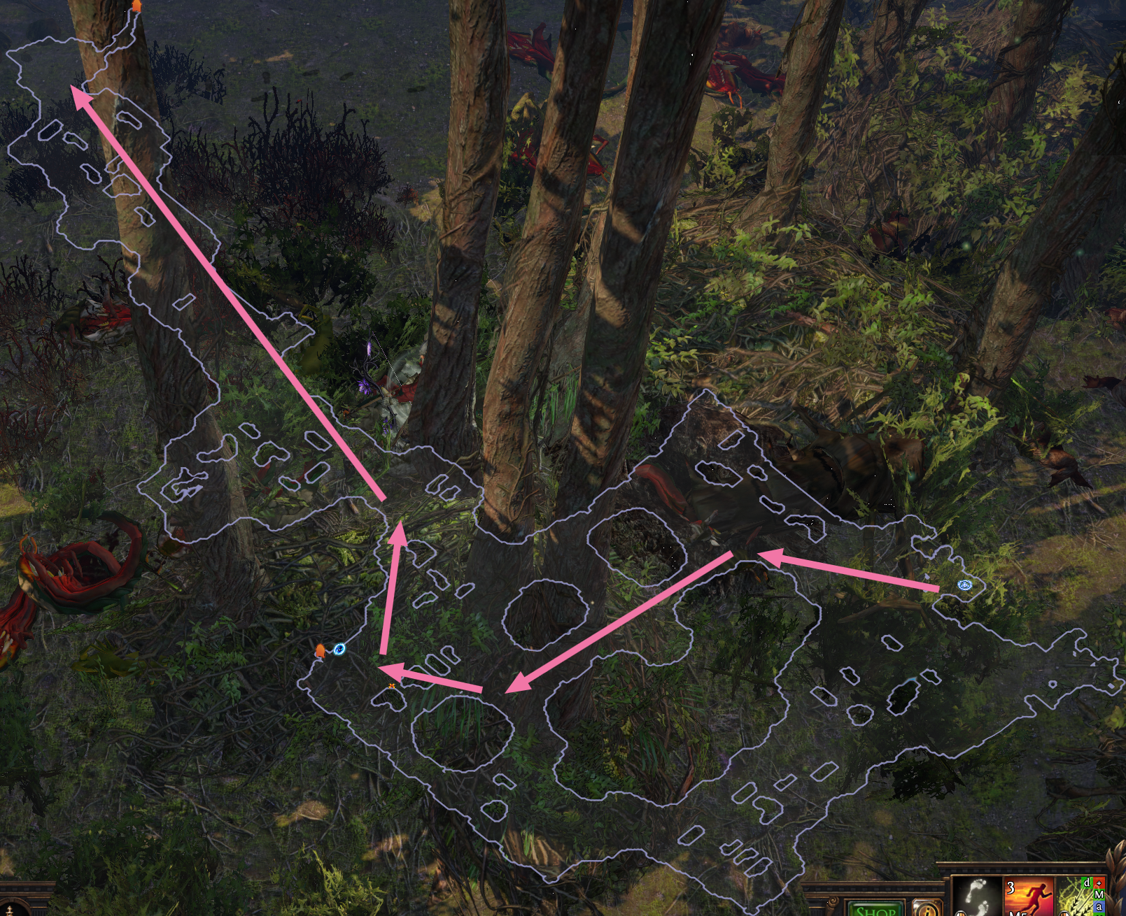 Northern Forest Variant 1